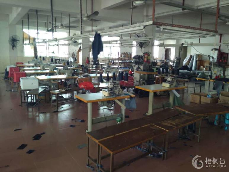 从裁缝铺到智能工厂 深圳市南山区伊启舞服装加工厂的蝶变之路